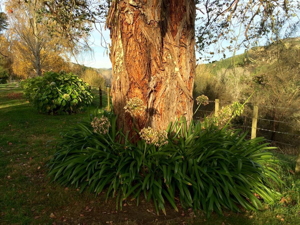 Ohuka Lodge Tuai Εξωτερικό φωτογραφία