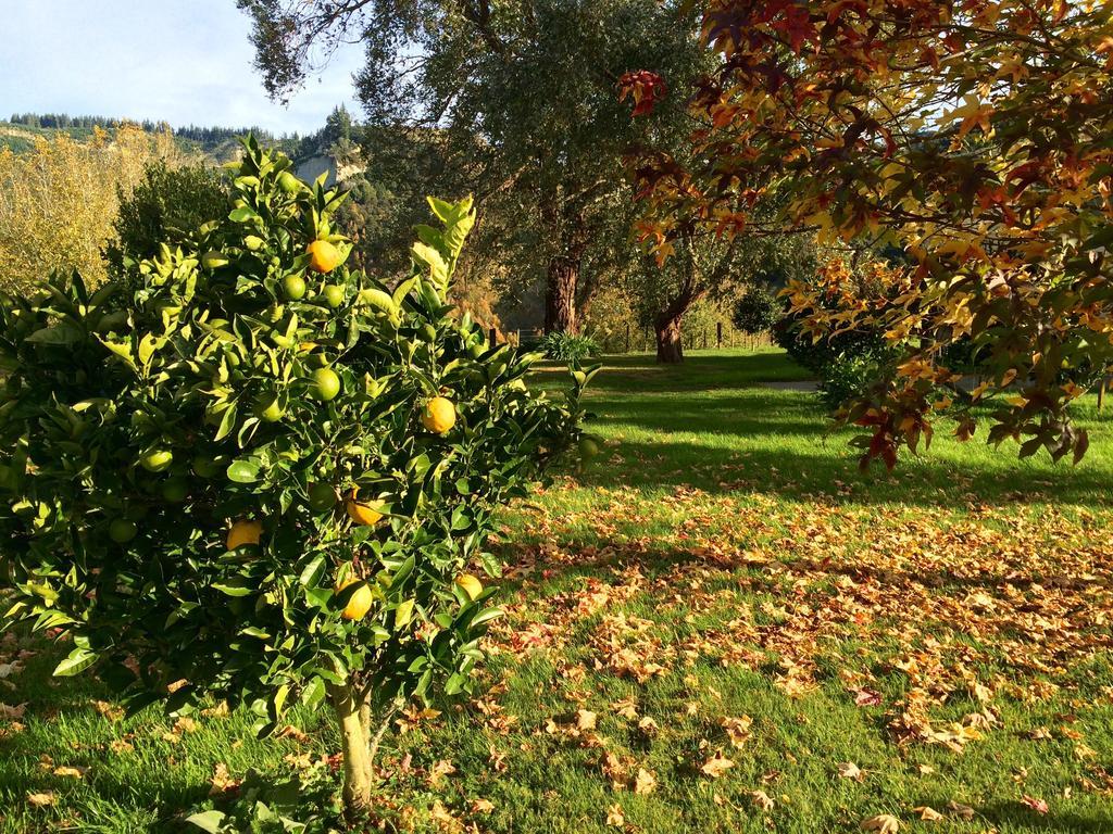 Ohuka Lodge Tuai Εξωτερικό φωτογραφία