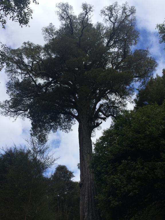 Ohuka Lodge Tuai Εξωτερικό φωτογραφία